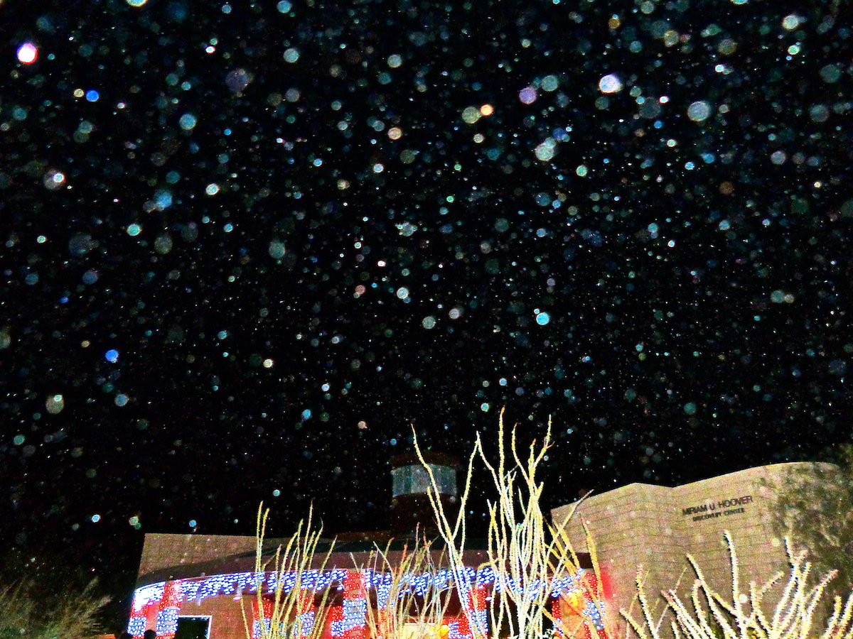 The Living Desert, Palm Desert, California, 2015